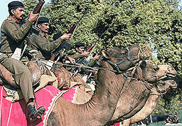 BSF personnel parade on camelback in Delhi on Thursday during rehearsals for the 50th Republic Day celebrations .