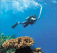 Wendy Craig Duncan carries the Olympic flame underwater at the Great Barrier Reef in Queensland on Tuesday.