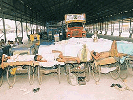Palledars take a nap in Ambala City Grain Market which remained closed on Wednesday in response to the Haryana bandh call given by various trade organisations. 