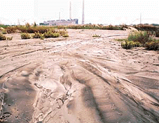 The Ropar thermal plants ash-filled dyke