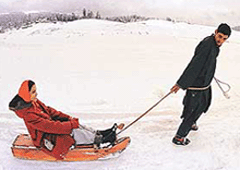 A tourist enjoys a sledge ride after the seasons first snowfall at Gulmarg, 50 km west of Srinagar, on Friday.
