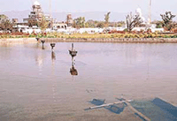 The prestigious 'Panj Piare Park' at Anandpur Sahib 
