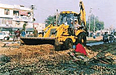 A Municipal Corporation tipper clears the road opposite Circuit House in Jalandhar of heaps of potatoes dumped by agitating potato growers on Tuesday.