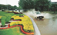 A car ploughs through water after sharp showers in Chandigarh on Sunday.