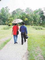 As the weather remains uncertain, a young couple takes a stroll in Rose Garden in Ludhiana on Saturday.