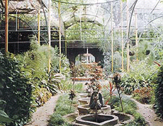 The beautiful fern house located inside the historic Baradari Gardens.