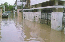 Houses flooded with water after a downpour lashed Bathinda on Tuesday.