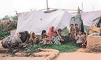 A view of tattered camps