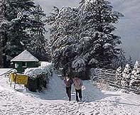 The campus of the Indian Institute of Advance Studies in Shimla is covered with snow