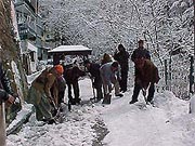 Under sub-zero temperature, labourers clear snow from a street in Shimla on Saturday.