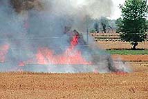 Crops go up in flames in mine blasts