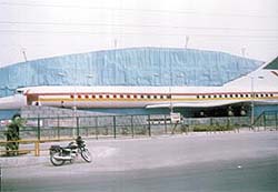 The huge entrance gate in the shape of an aeroplane was a big draw