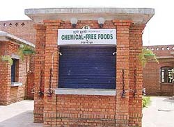 Organic food counter at Kalagram has forced its caretakers to remain open only between 4 pm and 11 pm, although earlier it used to operate from morning till night.