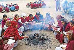 Because of the severe cold-wave conditions, elementary schools have been closed in Punjab till January 15