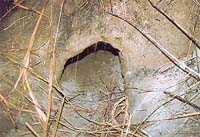 The mouth of a 20-metre long tunnel dug by the ISI in the Ferozepore sector