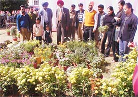 Visitors at the final day of the Flower Show at Punjab Agricultural University