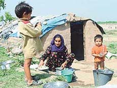 A migrant from Rajouri, Begum Jehan, cooks food outside her shanty in Jammu
