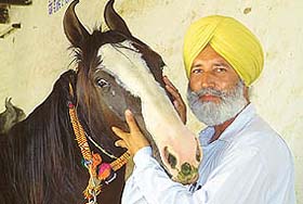 Gurmail Singh with his prized possession Moti