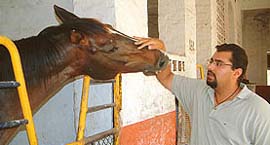 Tegbir, grandson of former Chief Minister H.S. Brar, with his favourite stallion