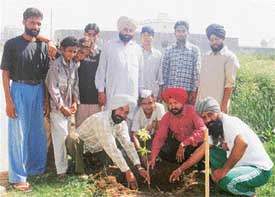 Functionaries of the Nehru Yuva Kendra and the Sri Guru Ravi Das Youth Club plant saplings at Ayali village