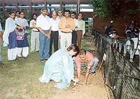 A sapling being planted at Government Model Senior Secondary School, Sector 19