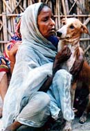 Chhotu, sentenced to death for biting, with his owner Janaki Devi