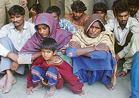 Some of the gang members caught by the police in Ludhiana.