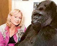 'Penny' Patterson with Koko