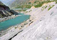 Dry twigs put to seem like ipomoea plantation on muck of Kol Dam dumped along the bank of the Sutlej in Bilaspur