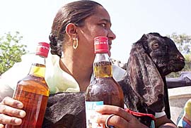 A devotee of waits for her turn to offer a goat and wine on the occasion of Asthami at the Kali Mata Temple in Patiala