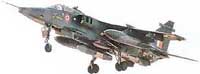 Jaguar in flight