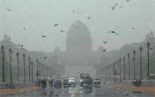 A view of Raj Path in Delhi on Saturday afternoon shows almost melted tar on the road due to high temperature. 