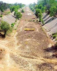 Fragmented bed, dilapidated walls and wild plants tell a story of the neglect of the Sutlej-Yamuna link canal at Ropar on Friday.