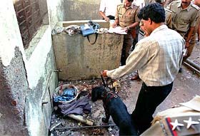 In this picture taken on February 27, 1998, a bomb squad official watches as a sniffer dog inspects the scene of a bomb blast