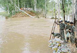Army personnel place sandbags at the breach of Ghaggar river bank near Devi Nagar in Ambala