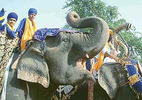 Nihangs hold a religious procession from Burj Baba Phoola Singh to the Golden Temple