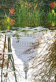 The US Capitol is reflected in a pond on election day as millions of Americans cast their votes on Tuesday to choose the US President