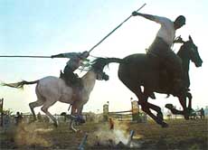 Riders put their horses through their paces during the tent-pegging competitions on the concluding day of the Chandigarh Horse Show-2004 on Sunday.