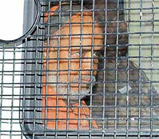 Kanchi Shankaracharya Jayendra Saraswati leaves the Vellore prison for the Kanchipuram judicial court in Kanchipuram