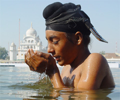 A young devotee take a holy dip in the sarovar of Gurdwara Tuti Gandi during Maghi Mela at Muktsar on Thursday. 