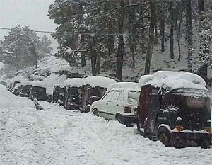 Vehicles stranded between Dharamsala and Mcleodganj because of the heavy snowfall on Saturday.