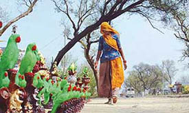 A woman vendor walks past the earthen pigeons put on sale alongside a road on the Ludhiana outskirts.
