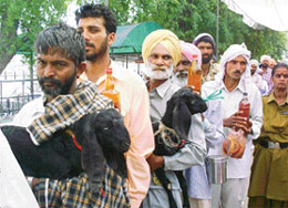 Devotees, carrying goats and liquor, wait for their turn on the occasion of Durga Ashtami at Mata Kali Temple in Patiala
