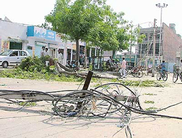 Uprooted electric poles and trees speak of the havoc wreaked by a storm in Bathinda on Thursday.