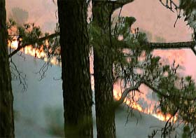 A forest fire rages in the Kasauli hills on Saturday evening