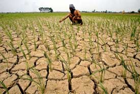 With the monsoon still 10 days away this farmer inspects his dry paddy field in Ropar.