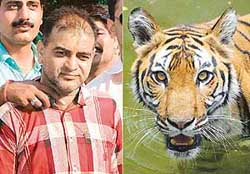 Sansar Chand after his arrest in Delhi on Thursday for poaching tigers.