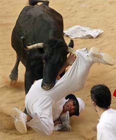 A reveller is tossed by a calf after the fourth bull run in a ring in Pamplona, Spain