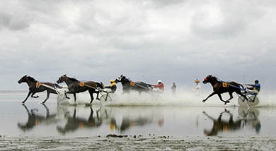 Competitors race through a puddle during the traditional horse and trotter race in Duhnen on the German North Sea coast near Cuxhaven on Sunday. About 30,000 spectators were on hand to watch the annual event that begins as the ebbing tide exposes the mud flats on which the races are run.
