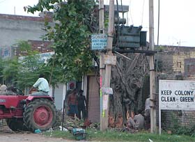 Workers cut an ancient banyan tree in Amritsar